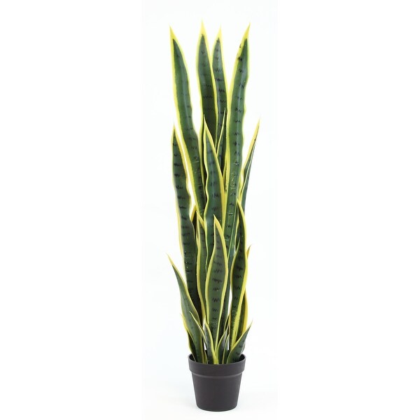 The Mod Greenhouse Faux Green Sansevieria Plant in a Black Matte Planter Pot