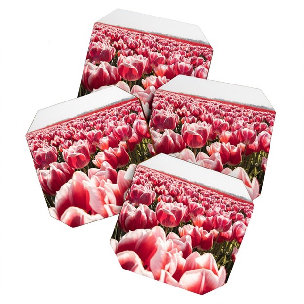 Henrike Schenk Travel Photography Tulip Field In Holland Floral Coaster Set Deny Designs