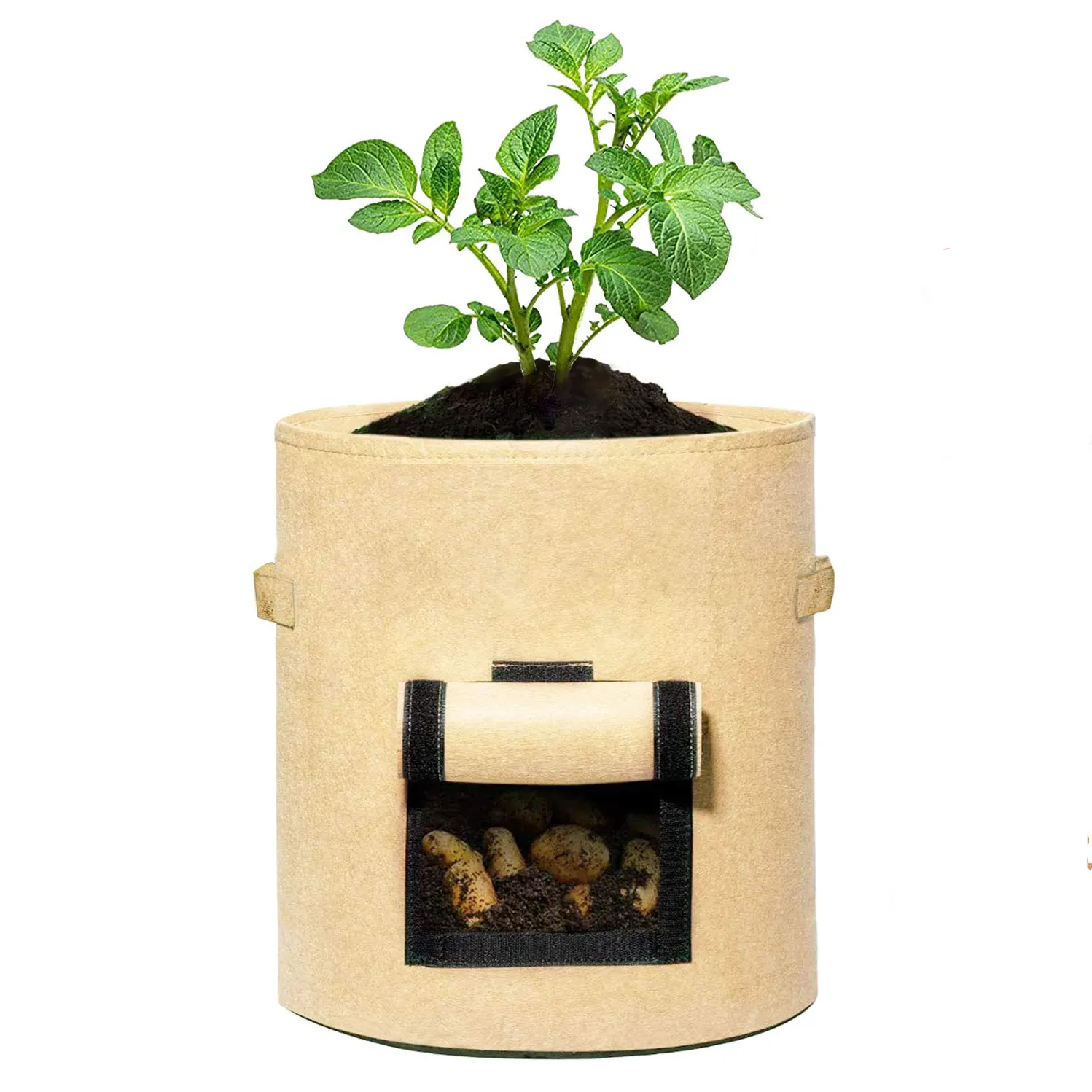 Fruit Protection Felt Plant Pot For Gardening Supplies 10 Gallon Fabric Grow Bag