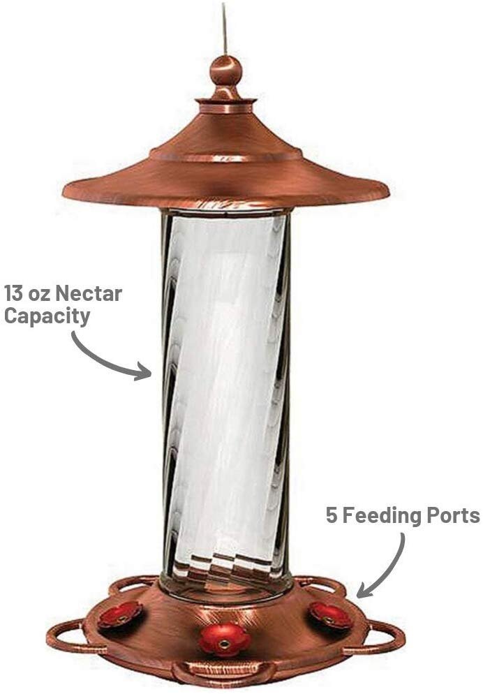 More Birds Glory Hummingbird Feeder， 5 Feeding Ports and 14 Ounce Nectar Capacity