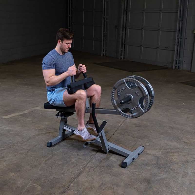 Body-Solid Commercial Seated Calf Raise