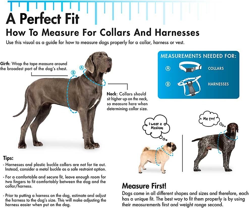 SecureAway Dog Flea Collar Protector