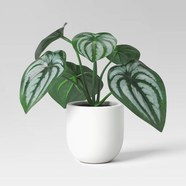 Mini Tabletop Peperomia  Artificial Plant -Quicskcart