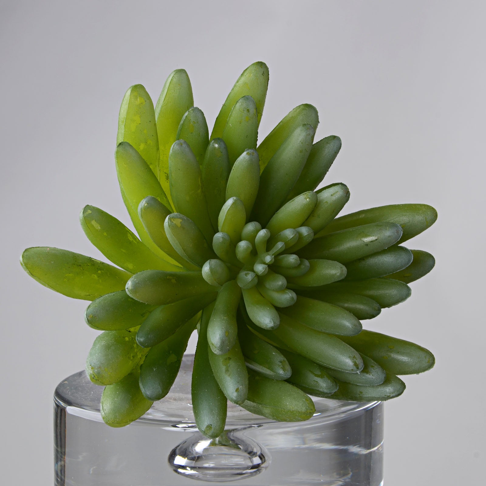 Handmade   Decorative Artificial Plant Dgyl-Nh1529-Gr