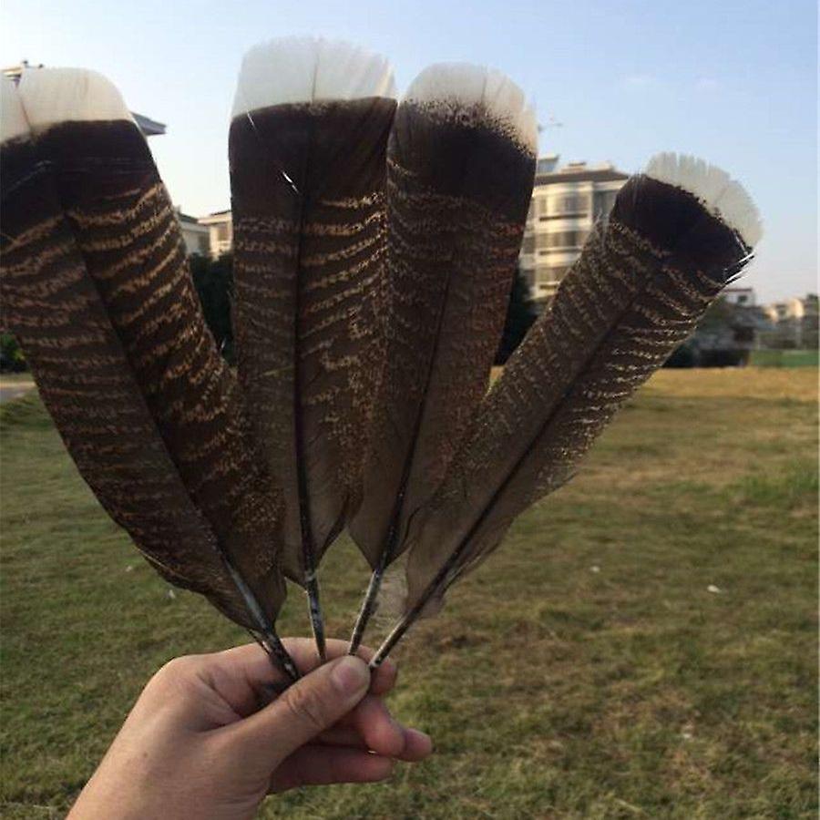 Wholesale 100 Pcs 10-12inch 25-30cm Natural Turkey Feather Tail Feather Diy Clothing Decoration Crafts Hats