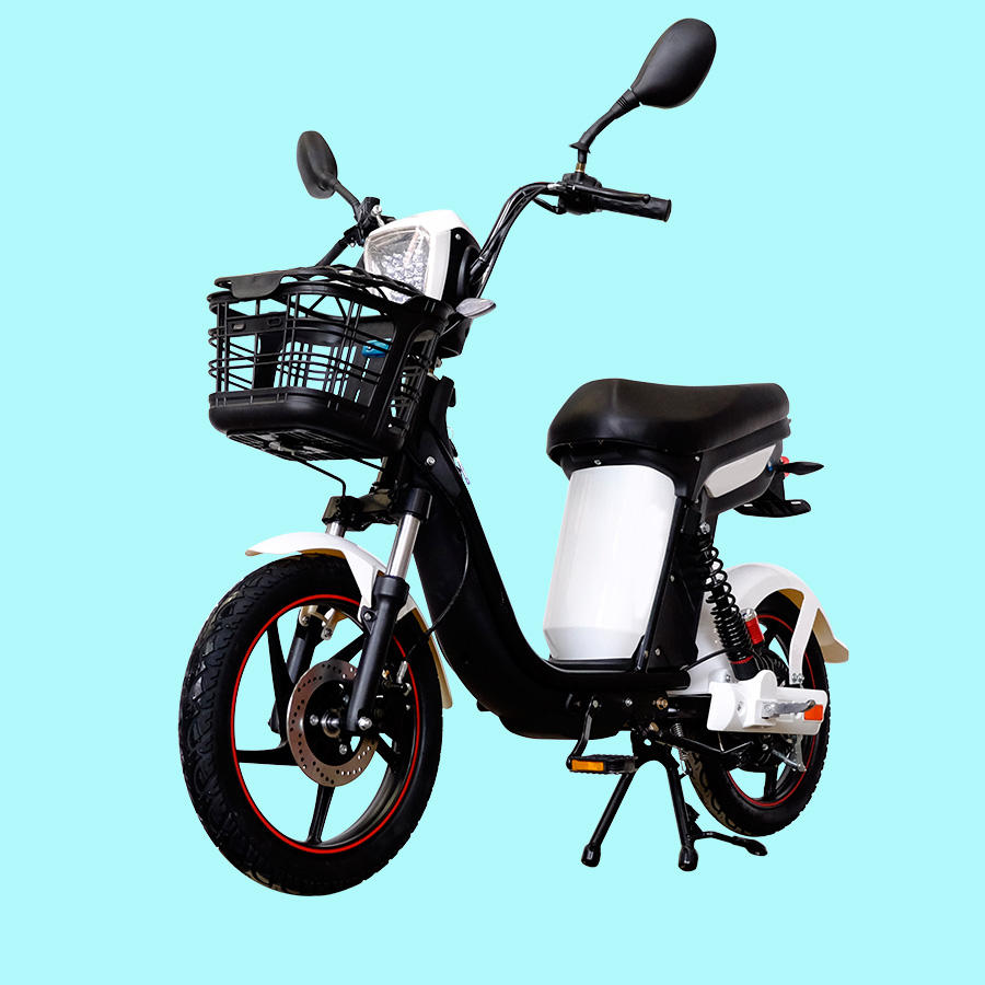 bike electric pakistani rupees price bikes max speed 25 kmh electric bike for viet nam