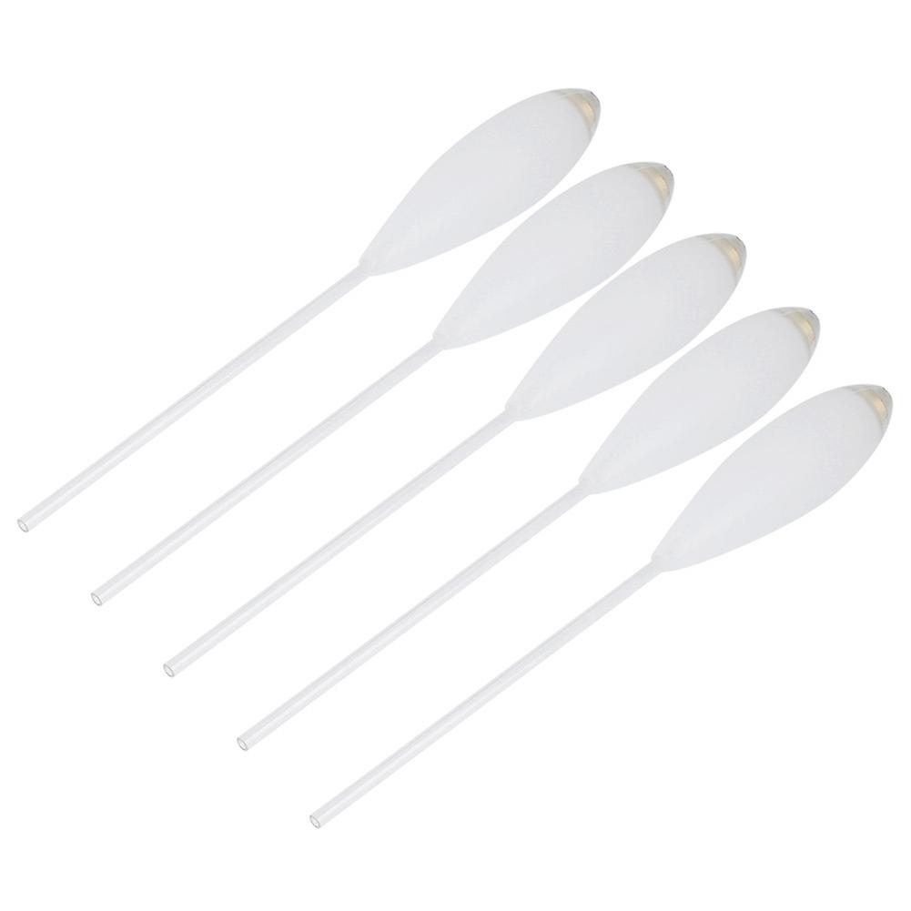 5pcs Acrylic Large Floats Slow Sinking Fishing Accessories Ecoand#8209;friendly No Odor(10g )