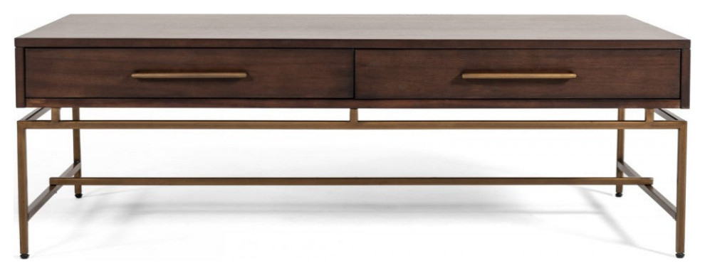 Trina Modern Acacia and Brass Coffee Table   Contemporary   Coffee Tables   by V.S.D Furniture  Houzz