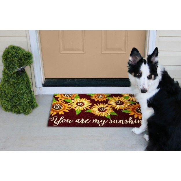 You Are My Sunshine Sentiment Yellow Sunflower Rectangle Indoor Outdoor Coir Door Welcome Mat Brown Background