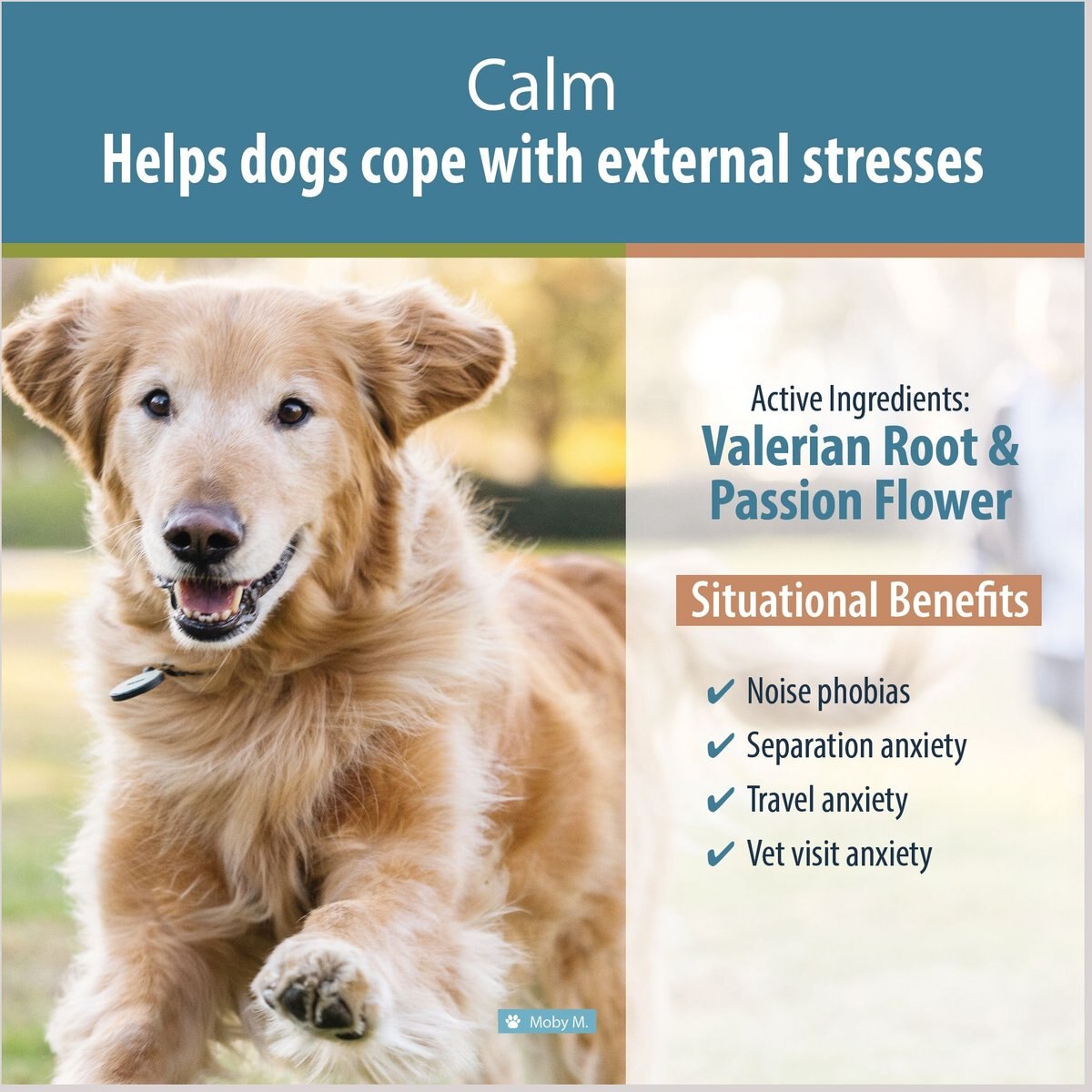 JustFoodForDogs Calm Capsule Calming Supplement for Dogs， 90 count