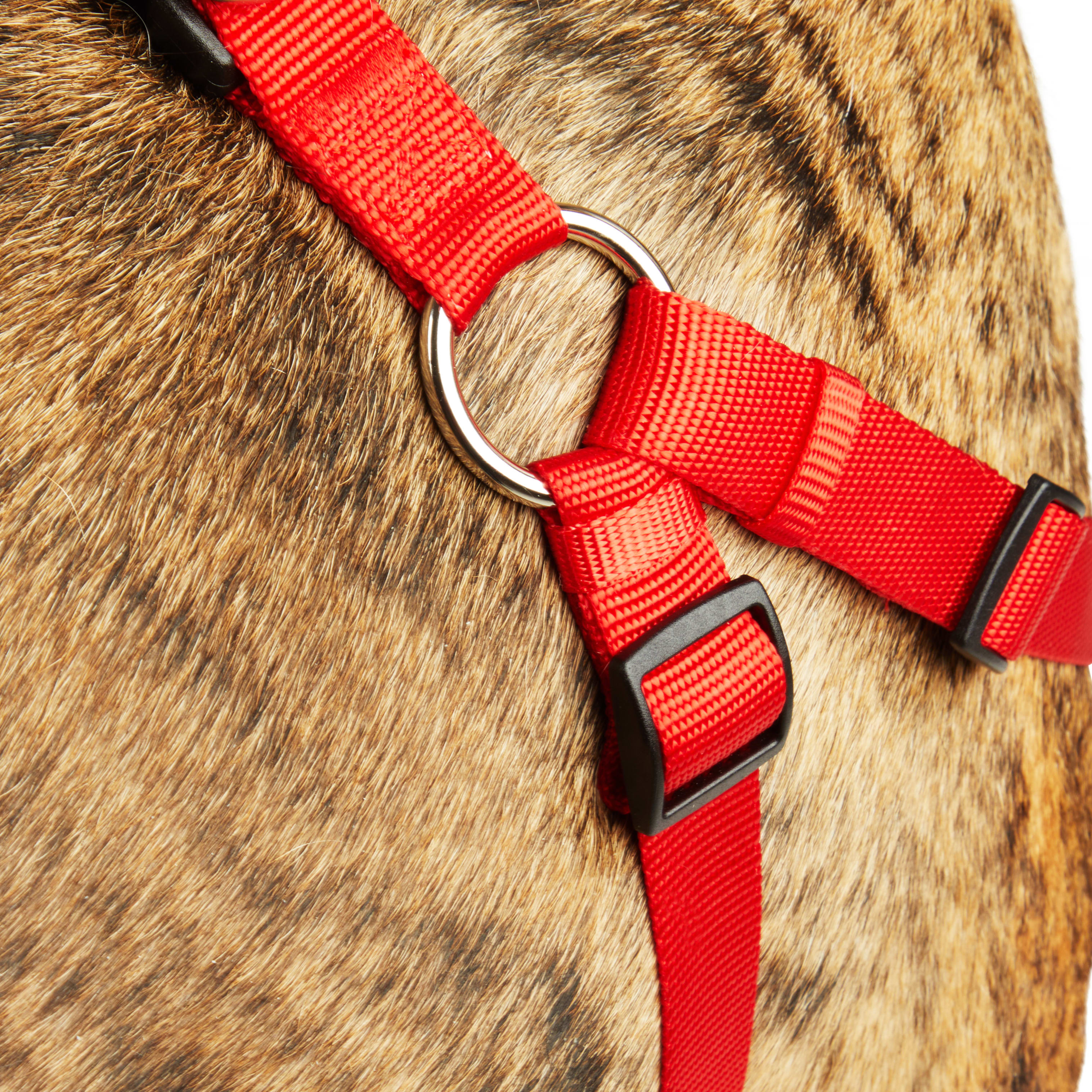 YOULY Red Dog Harness， X-Small