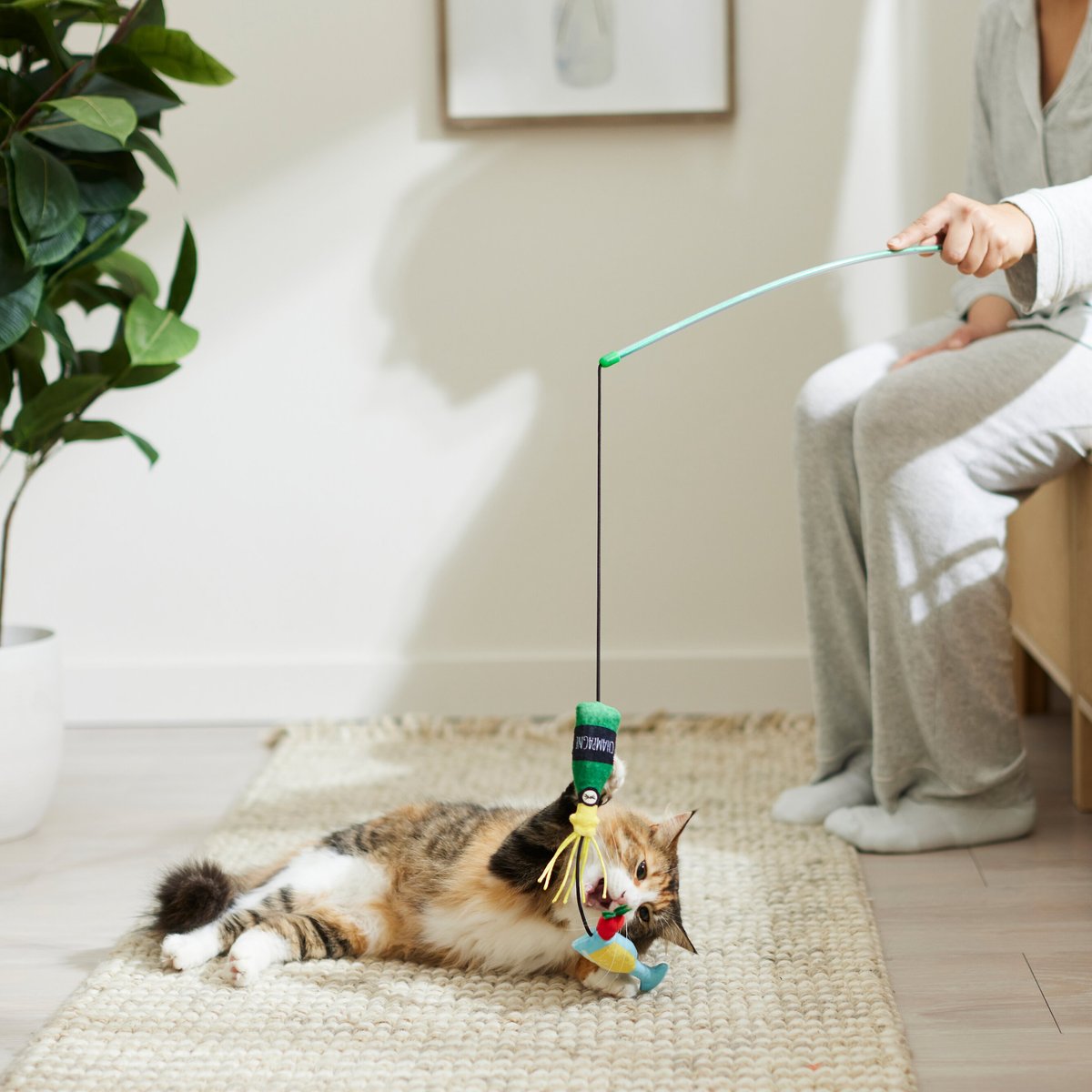 Frisco Brunch Mimosa Teaser Wand Cat Toy with Catnip