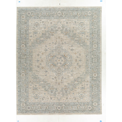 Avant Garde Traditional Light Gray Rug