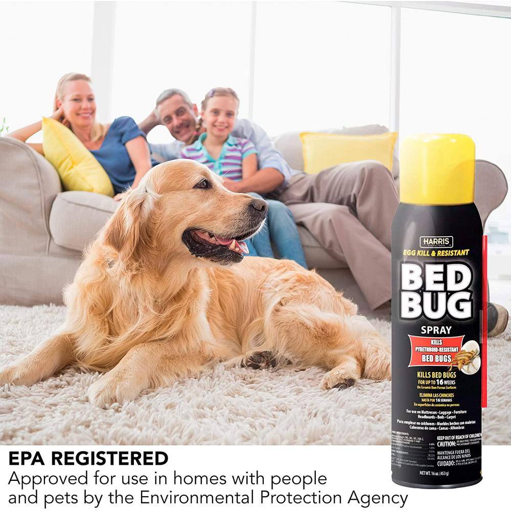 Harris Egg Kill and Resistant Bed Bug Spray BLKBB-16A