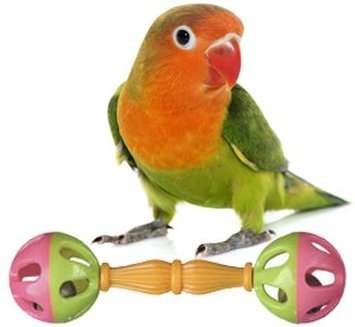 Super Bird Creations Birdie Barbell， Small/Medium， 3 count