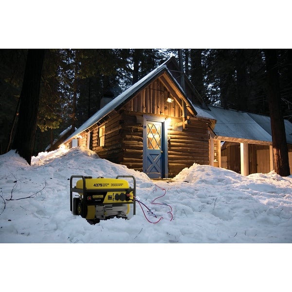 4375/3500 Watts RV Ready Portable Generator (CARB)