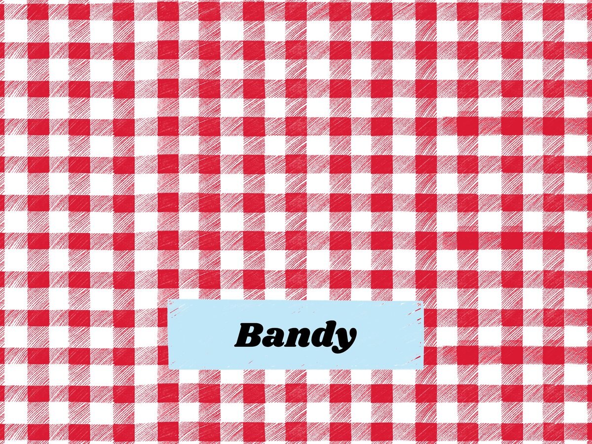 Frisco Personalized Gingham Plaid Soft Fleece Cat and Dog Blanket， 30\