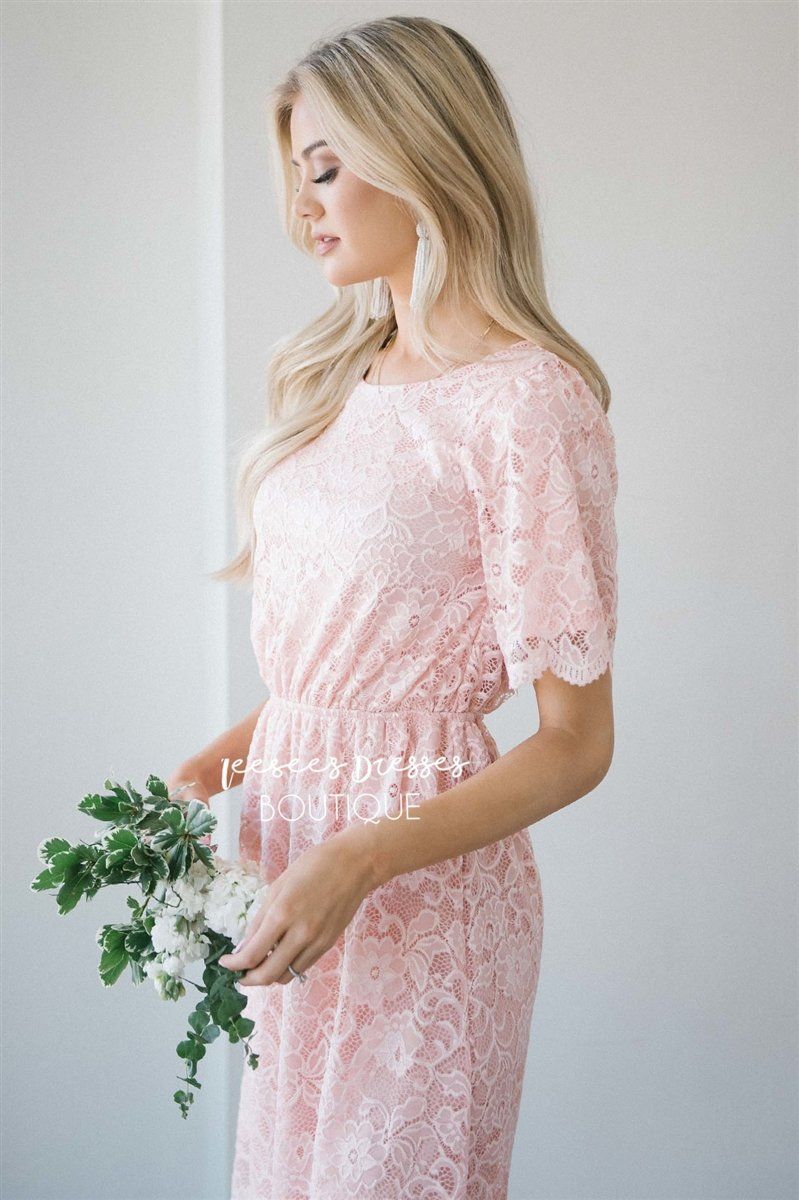 Soft Rose Scallop Lace Dress