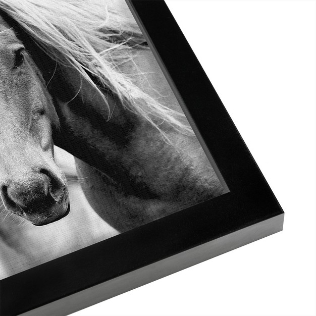 Americanflat Animal Wild Horses 1 By Lila Lola Black Frame Wall Art