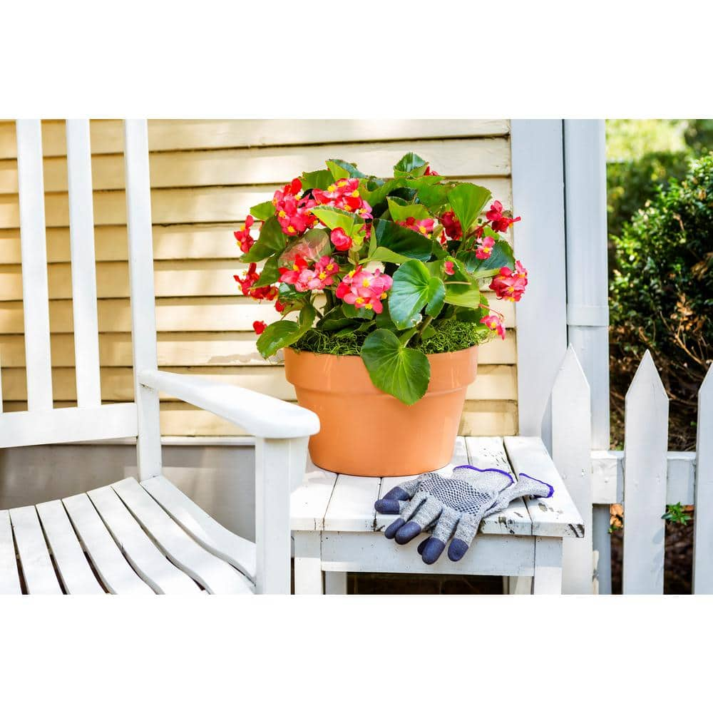 Pennington 6.5 in. Small Terra Cotta Clay Azalea Pot 100043025