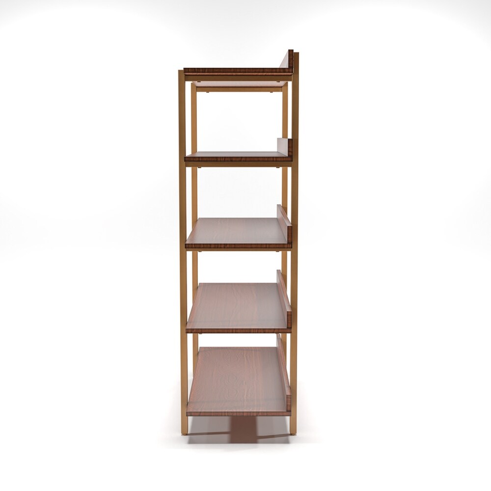 Bizi Contemporary Metal 5 Tier Display Shelf by Furniture of America