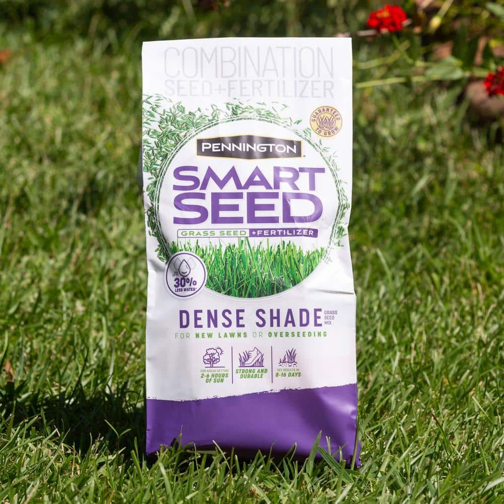 Pennington Smart Seed 3 lbs. Dense Shade Grass Seed and Fertilizer 100543702