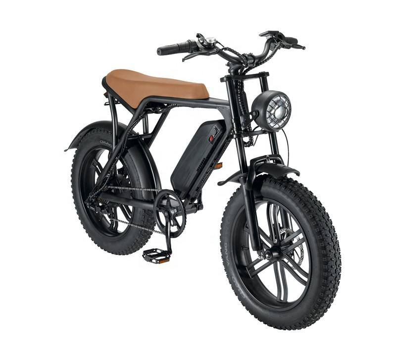 Sport Pedal Assist Ebike Electric Bicycle Electric Cycle Mountain Bike Retro Fat Tire Electric Bike 750w Fatbikes