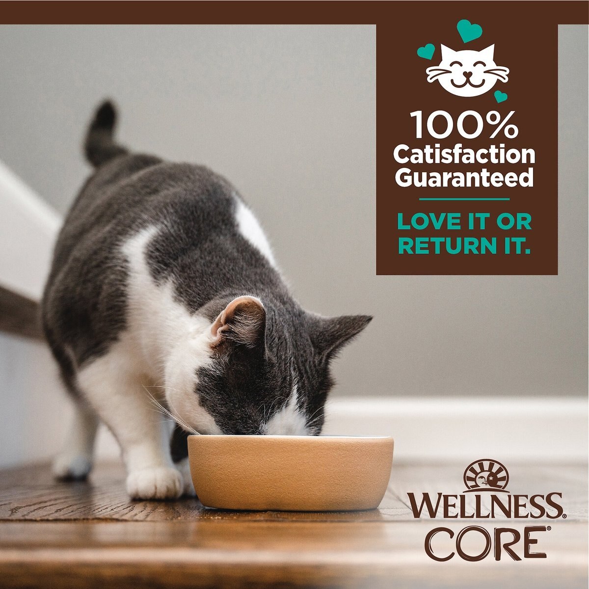 Wellness Tiny Tasters Tuna and Salmon Grain-Free Flaked Wet Cat Food， 1.75-oz pouch， case of 12