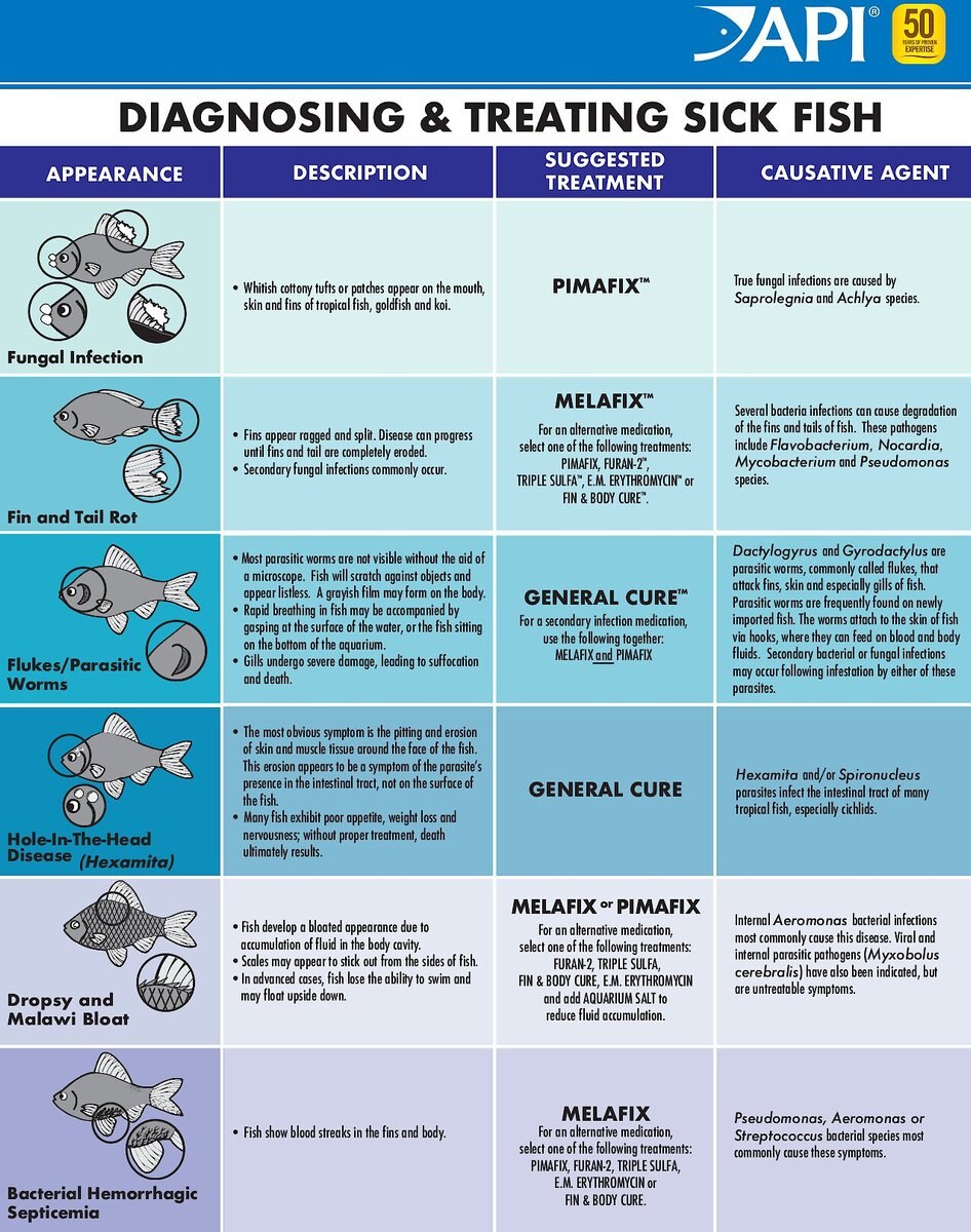 API Melafix Saltwater Fish and Coral Bacterial Infection Remedy