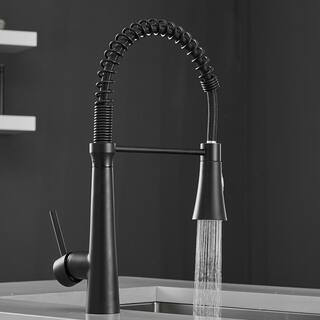 Boyel Living Black Stainless Steel Faucet Single-Handle Faucet Pull-Down Sprayer Kitchen Faucet BM2008B