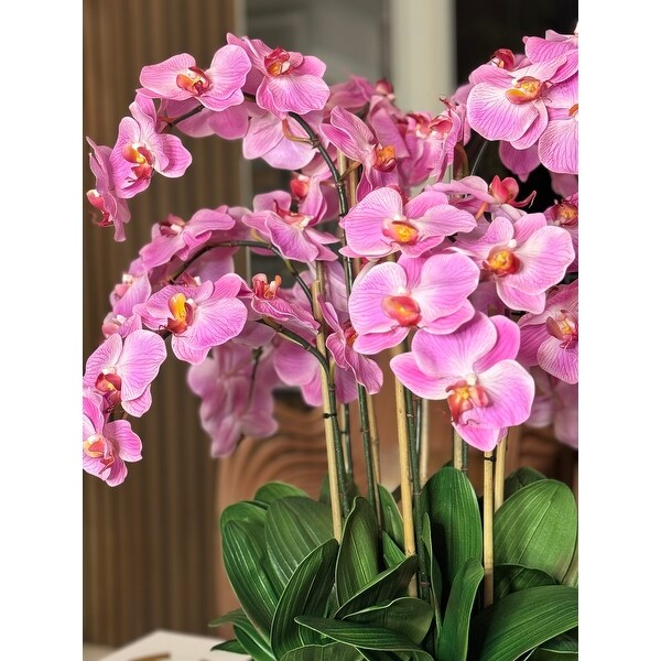 Phalaenopsis Orchids Floral Arrangement in Gold Planter