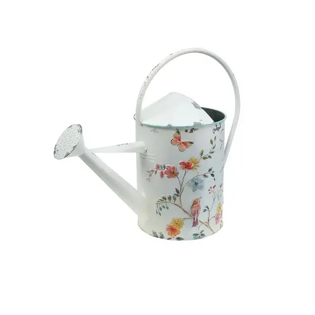 Classic Royal Green New Design Cheap Wholesale Hotel Restaurant Home Metal watering Can/Pot for Garden