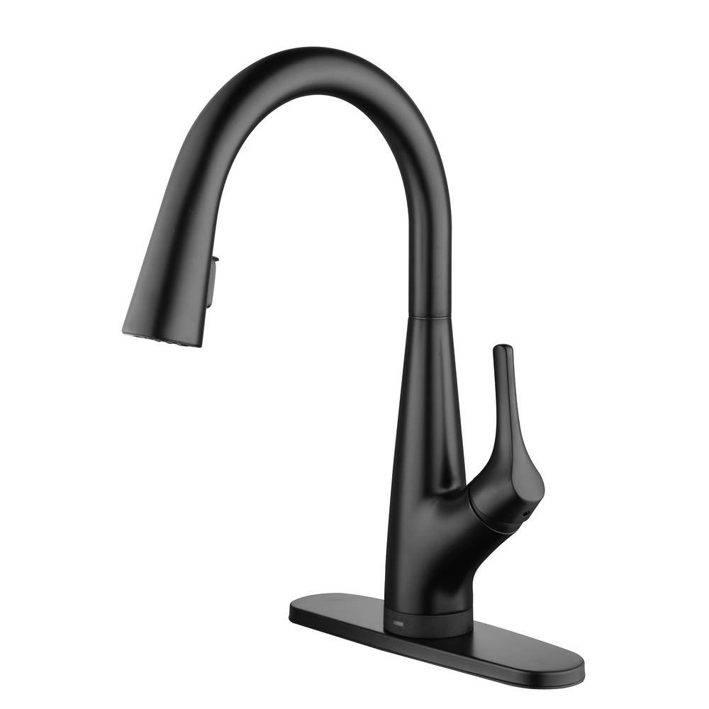 Glacier Bay Eagleton Single-Handle Pull-Down Sprayer Kitchen Faucet with Filtration and FastMount in Matte Black HD67540-1010H