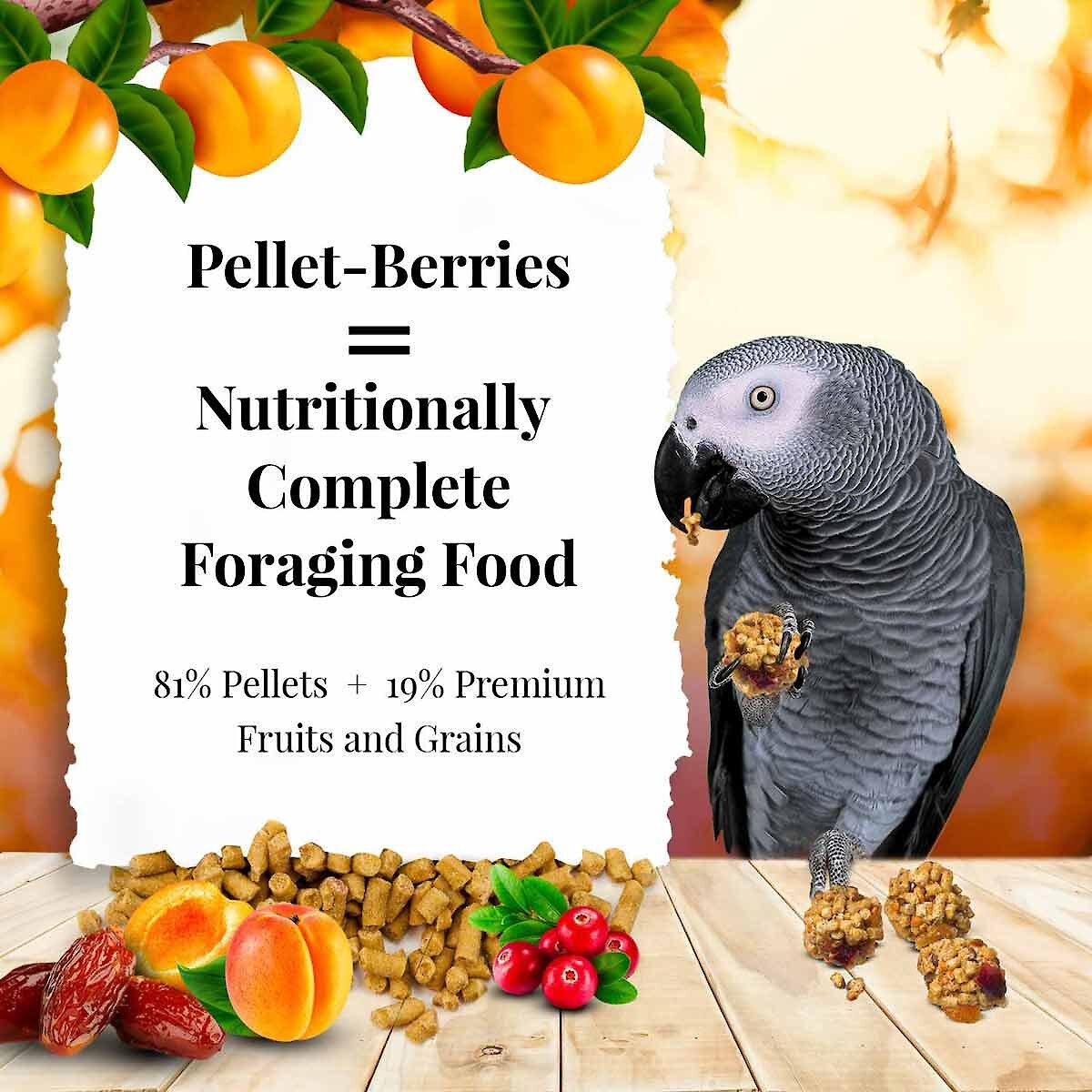 Lafeber Pellet-Berries Sunny Orchard Parrot Food