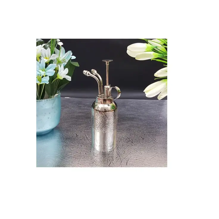 Wholesale Round mist stainless Steel with hammered finish Finished for Air Plant Watering Home Decor Indoor Gardening