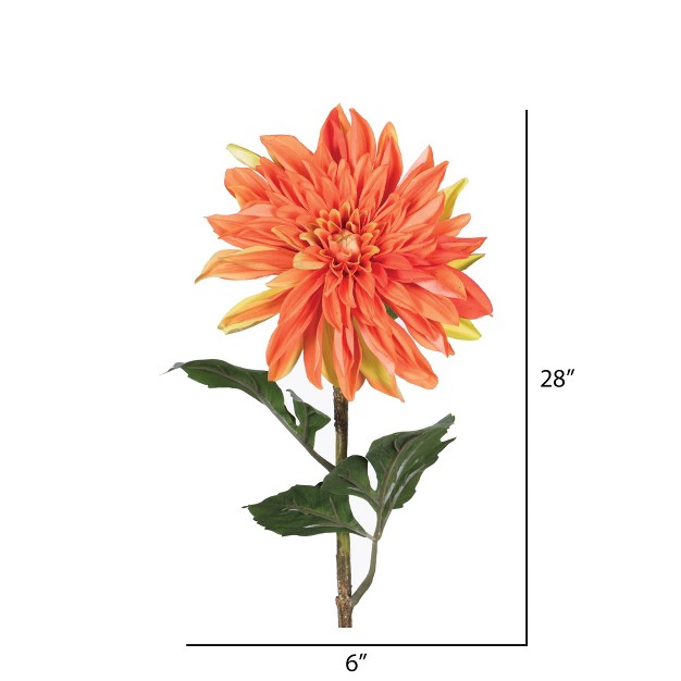 Dahlia Stem