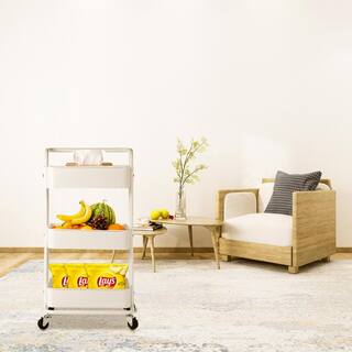 Tidoin 3-Tier Metal Storage Rolling Utility Cart in White DHS-YDFN-333W