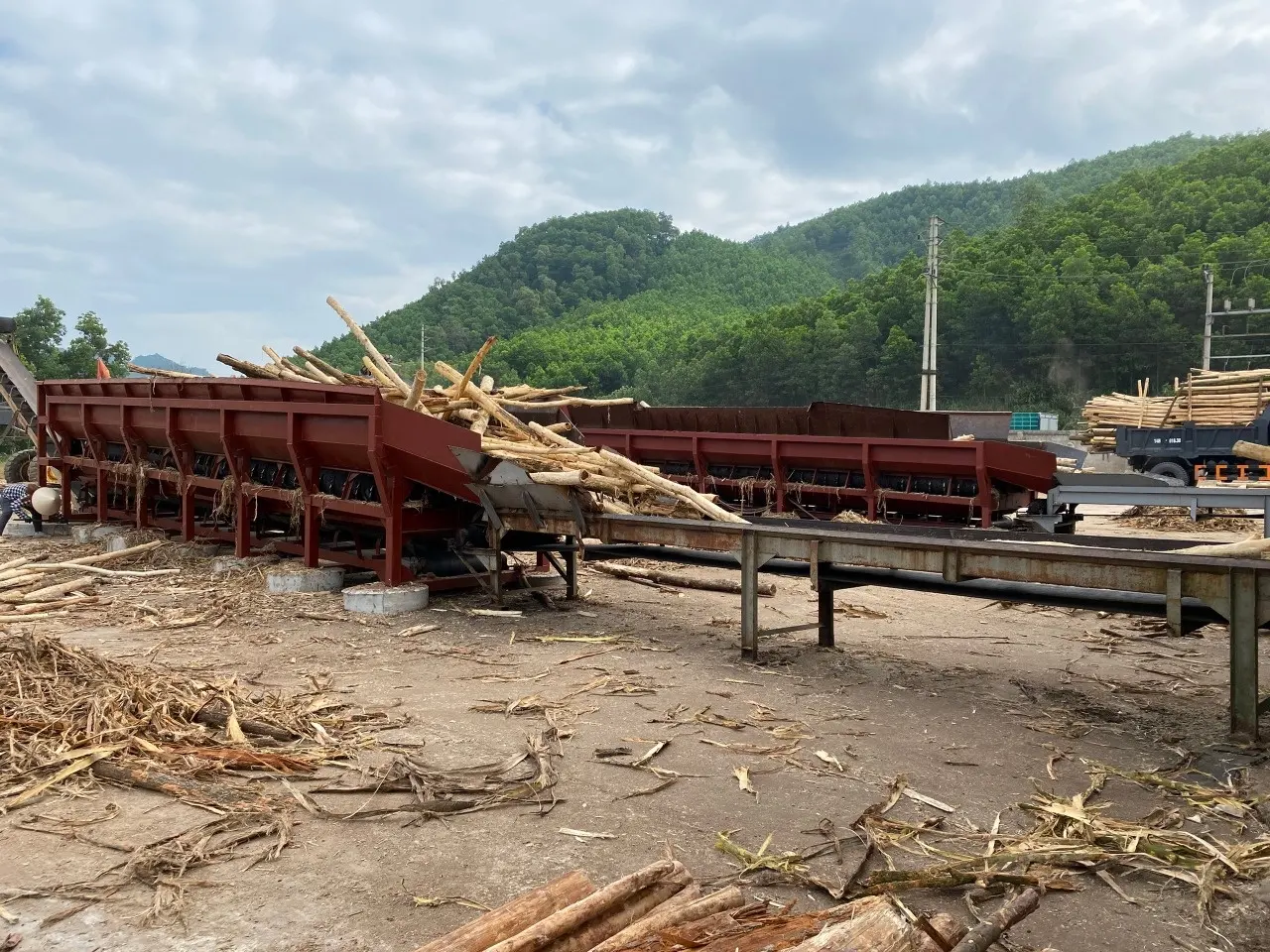 Dryer Wood Factory  Wood Chip Bark chip Planted Trees Natural  Bark  Wood Acacia Woodchip