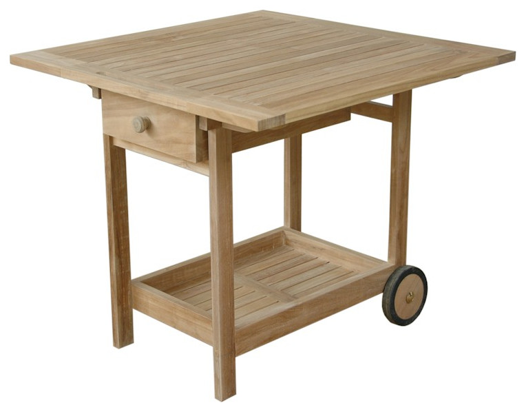 Danica Serving Table Trolley   Transitional   Outdoor Serving Carts   by Uber Bazaar  Houzz