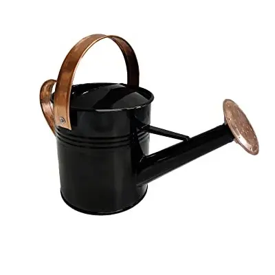 Latest Design Top Quality Pure Iron Dark Green Powder Coated Indoor and Outdoor Watering Can For Garden Usage