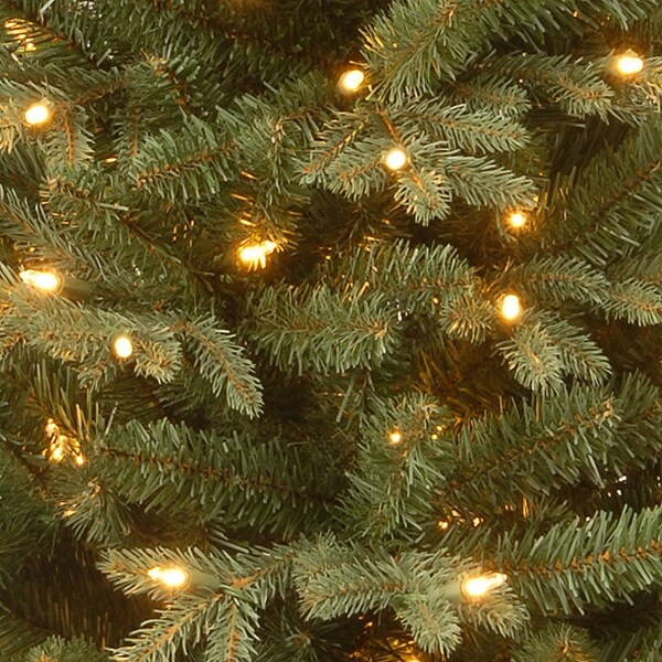 National Tree Company 3 ft. Everyday Collection Evergreen Tree with Clear Lights