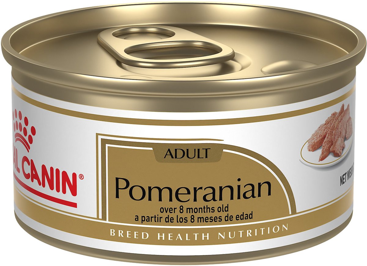 Royal Canin Breed Health Nutrition Pomeranian Adult Loaf in Sauce Canned Dog Food