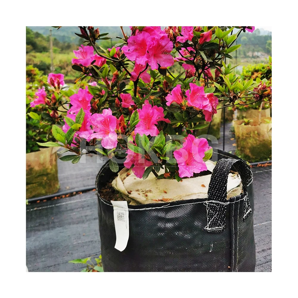 HOKBG 20 gallon Air Pruning PP Woven Fabric Pot Outdoor Indoor Decoration Planting Pot Garden flower tree Grow Bags nursery bag