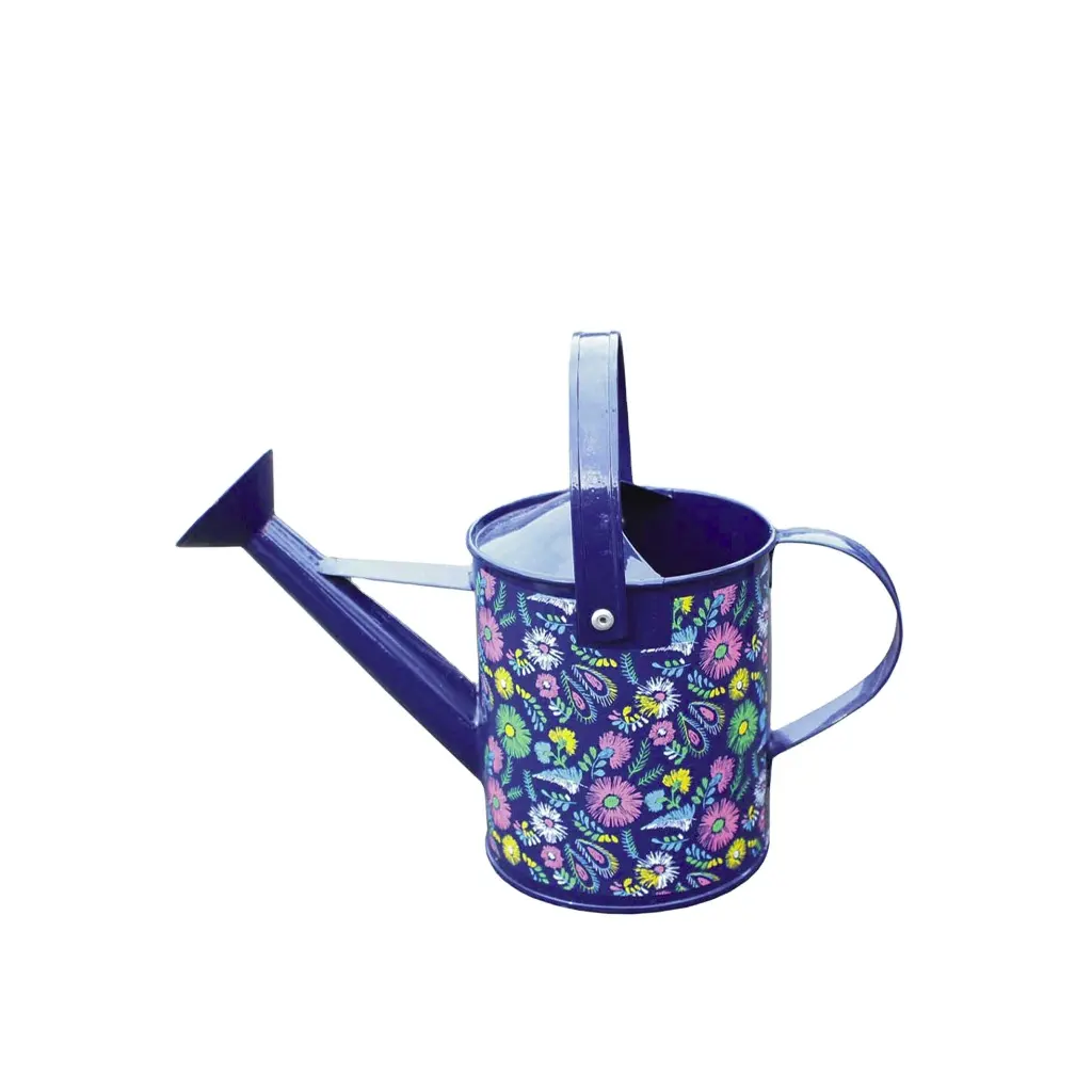 elegant gardening tools matte and polished various color long mouth wholesale stainless steel hand spout watering can