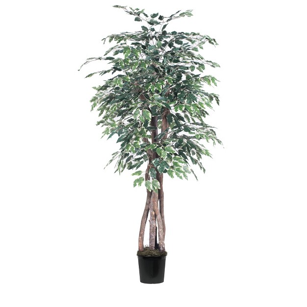 Vickerman Artificial Variegated Ficus Extra Full Series