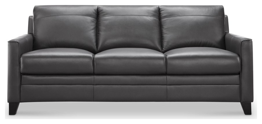 Leather Lusso Pratt Contemporary Genuine Leather  ampHardwood Sofa in Charcoal   Contemporary   Sofas   by Homesquare  Houzz