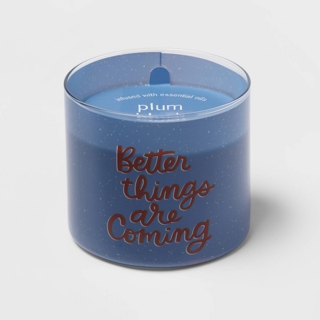 3 wick 14oz Better Things Are Coming Plum Blush Candle