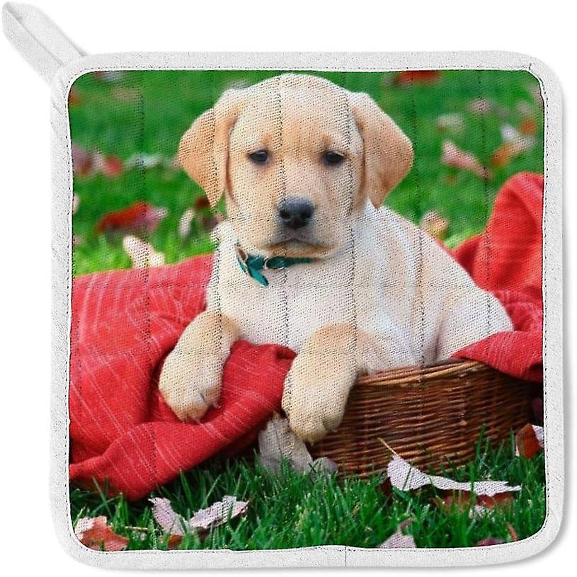 Kitchen Oven Mitts Glove Potholder Apron 3pcs Set Labrador Retriever Puppy Sits On Red Blanket Non Slip Heat Resistant Mitts Baking Cooking Bbq