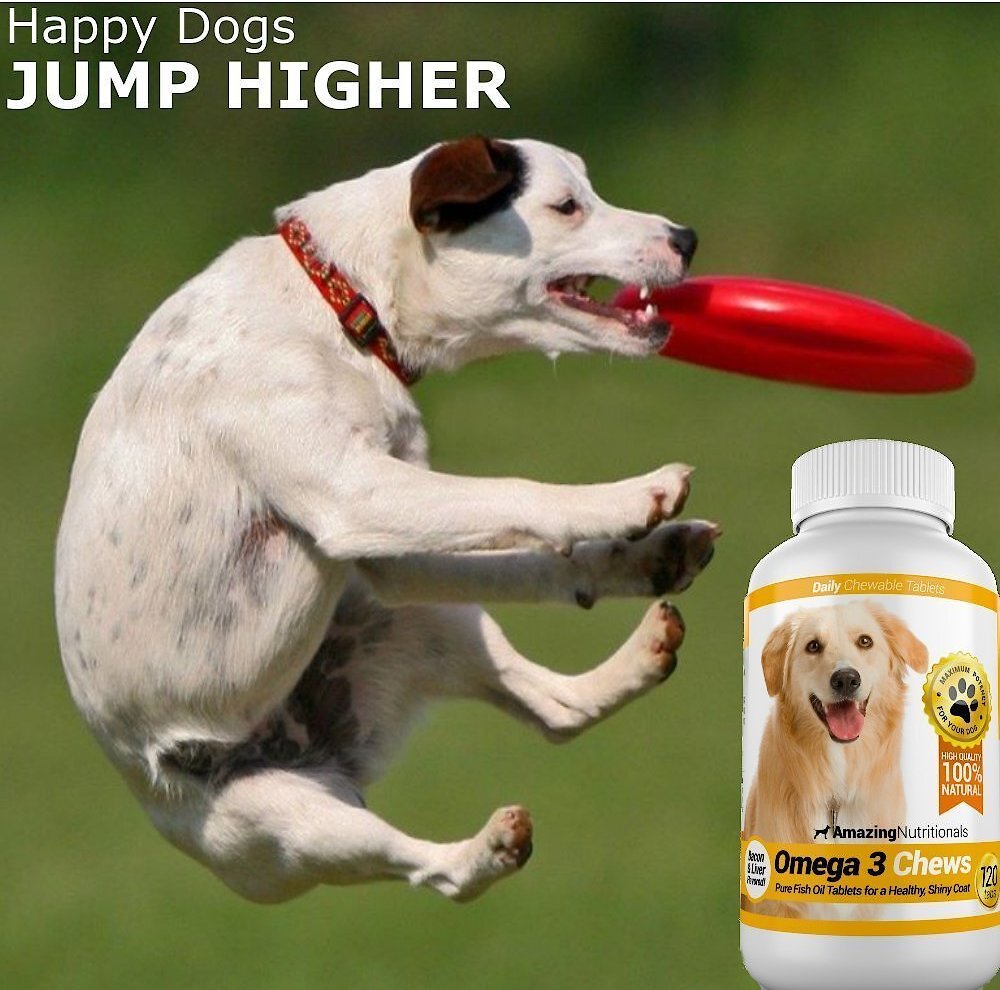 Amazing Nutritionals Omega 3 Chews Pure Fish Oil Daily Dog Supplement