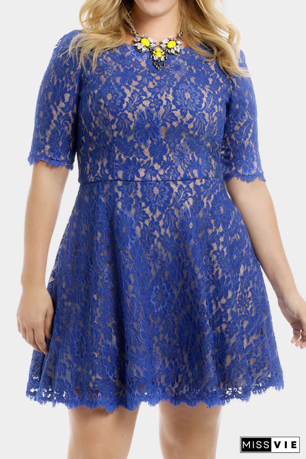 Blue Floral Lace Nude Illusion Plus Size Skater Dress